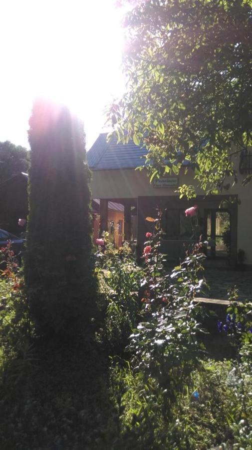 Pensiunea Casa Domnitei Sucevita Exterior photo